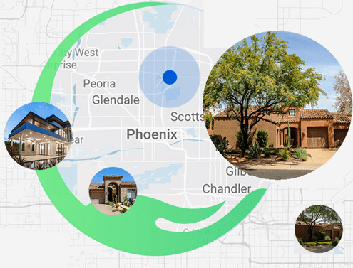 A map of phoenix with the location of a tree.